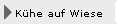 K�he auf Wiese